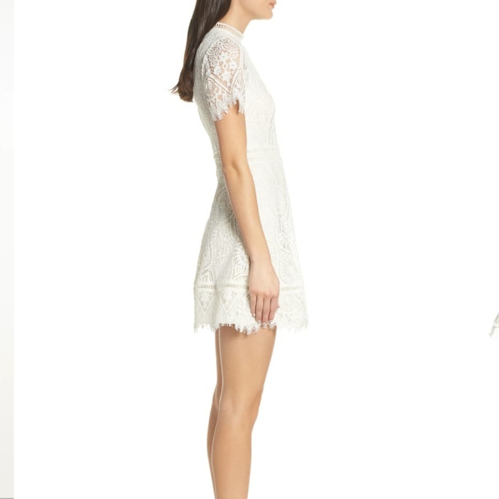 BB Dakota Short Sleeve Lace FitFlare dress - Picture 8 of 11